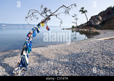 Bäume mit bunten Bändern. Baikal-See Küste. Olchon. In der Nähe von Kap Burchan. Sibirien. Russland. Stockfoto