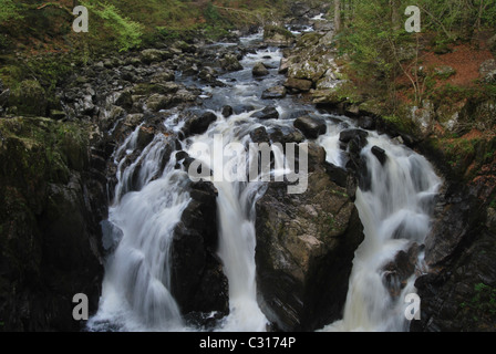 Die Wasserfälle am Fluss Braan in der Eremitage in der Nähe von Dunkeld Stockfoto