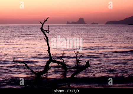 Strand von Illetas auf Formentera. Im Hintergrund die Inseln Es Vedra und Es Vedranell auf Ibiza. Balearen-Spanien Stockfoto