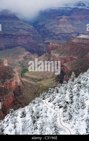 Wanderer am oberen Teil des Bright Angel Trail bedeckt in Schnee, Grand Canyon National Park, Arizona, USA Stockfoto