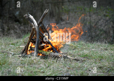 Lagerfeuer im Wald. Frühjahr 2007. Tagsüber. Stockfoto