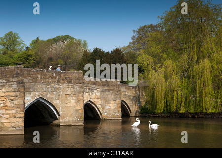 UK, Derbyshire, Peak District, Bakewell, Schwäne am alten Stein Brücke Kreuzung River Wye Stockfoto