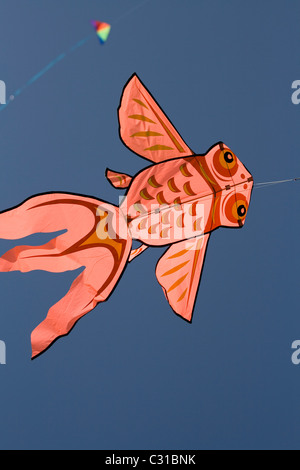 Eine große orange fliegende Fische geformt Kite an die Familie Kite-Tag im Park Streatham im Süden von London. Stockfoto