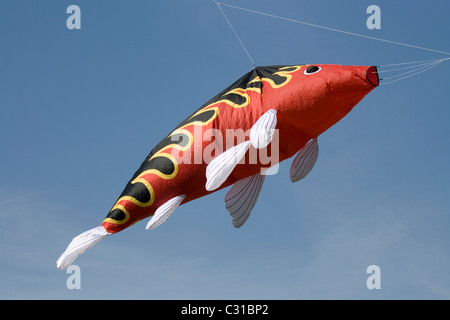 Ein großer roter Fisch geformt Kite an die Familie Kite-Tag im Park Streatham im Süden von London. Stockfoto