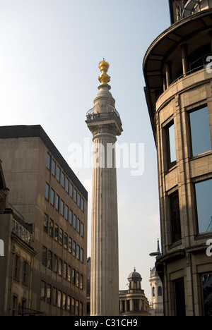 Nelson's Column Memorial in London Stockfoto