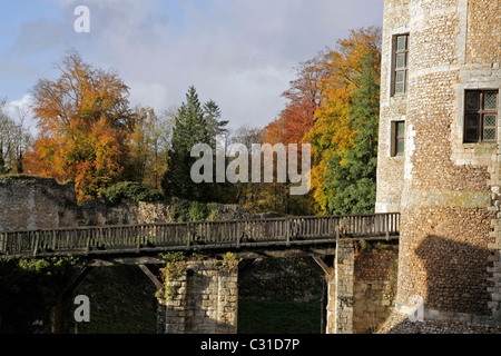 HERBSTFARBEN AUF DAS SCHLOSS UND DAS ARBORETUM VON HARCOURT, EURE (27), FRANKREICH Stockfoto