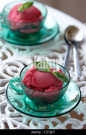 Himbeer-Sorbet mit frischer Minze im Wasserglas Stockfoto