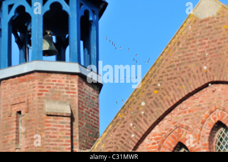 EIN FLUG DER WILDGÄNSE, ZUGVÖGEL, HINTER DER SEELEUTE KAPELLE IN BAIE DE SOMME, SOMME (80), CAYEUX-SUR-MER, FRANKREICH Stockfoto