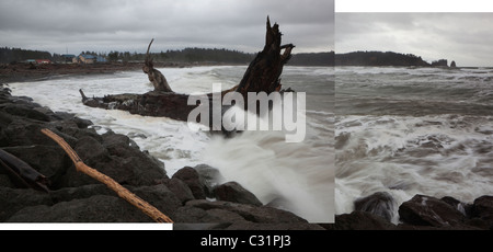 "Wellenlinien" Absturz gegen einen riesigen Baum kommen an Land als Treibholz am ersten Strand in der Nähe von La Push, Olympic Halbinsel, Washington. Stockfoto