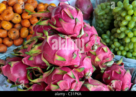 PITAYAS WIE FEIGENKAKTEEN UND GEMEINHIN ALS DRACHENFRUCHT, IN EINEM MARKT, THAILAND, ASIEN Stockfoto