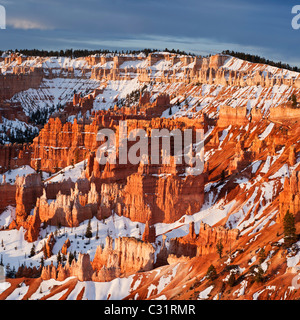 Hoodoo Rock Formationas bei Sonnenaufgang von Sunrise Point, Bryce Canyon National Park, Utah, USA Stockfoto