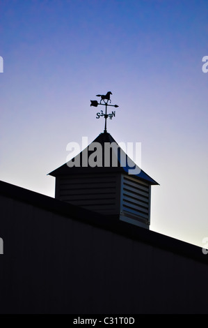 Wetterfahne mit Pferd Stockfoto