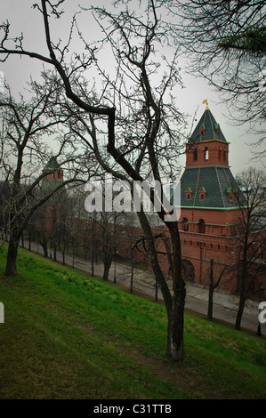 Blick auf das Geheimnis und die namenlosen Türme in der Moskauer Kreml, Russland Stockfoto