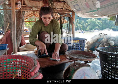 FRAUEN, DIE VORBEREITUNG DER FISCHE AUS DER TAGESPRESSE FANGEN ZUM TROCKNEN, FISCHERDORF IN DER NÄHE VON BANG SAPHAN, THAILAND, ASIEN Stockfoto