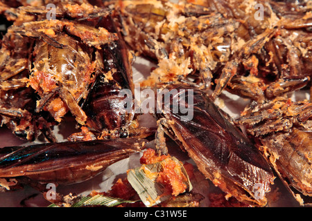 GEGRILLTE INSEKTEN (ZIKADEN) ABEND MARKT, BANG SAPHAN, THAILAND, ASIEN Stockfoto