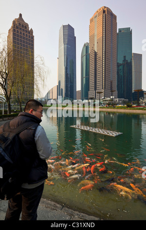 Ein Mann füttern Fische in einem Fischteich in der grün-Zentralraum Lujiazui im Stadtteil Pudong, Shanghai. Stockfoto