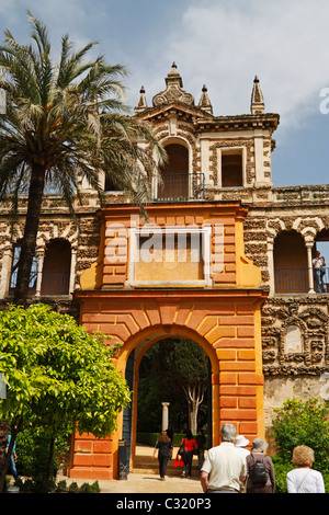 Gärten in Real Alcazar, Sevilla, Andalusien, Spanien Stockfoto