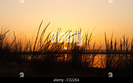 Sonnenuntergang über Küsten Sümpfe in Isla Cristina in der Nähe von Huelva, Costa De La Luz, Andalusien, Spanien Stockfoto