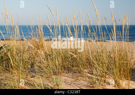 Dünen und Strand von Isla Cristina in der Nähe von Huelva, Costa De La Luz, Andalusien, Spanien Stockfoto