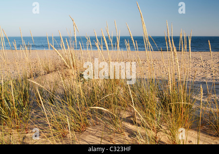 Dünen und Strand von Isla Cristina in der Nähe von Huelva, Costa De La Luz, Andalusien, Spanien Stockfoto