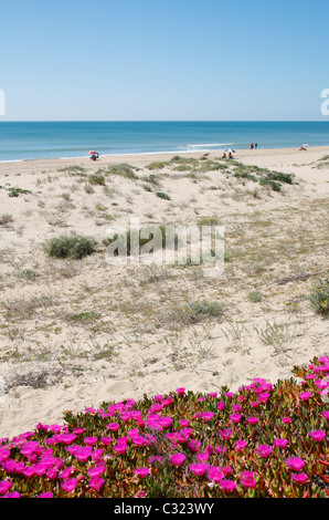 Dünen und Strand von Isla Cristina in der Nähe von Huelva, Costa De La Luz, Andalusien, Spanien Stockfoto