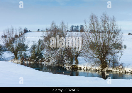 Höckerschwan auf den River Windrush in Dorf Swinbrook, Cotswolds, Großbritannien Stockfoto