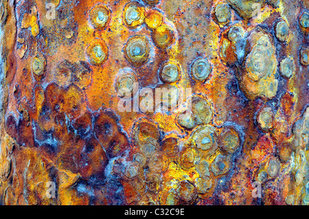 Detail der Rost Metall Stockfoto