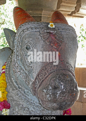 Steinstatue von Nandi an Lord Shiva, Changa Vateshwar Tempel, Saswad, Maharashtra, Indien Stockfoto