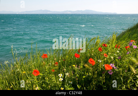 Blick vom L´Escala. Alt Emporda Costa Brava Girona Provinz, Katalonien, Spanien Stockfoto