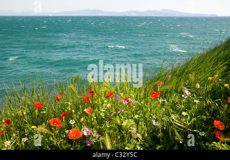 Blick vom L´Escala. Alt Emporda Costa Brava Girona Provinz, Katalonien, Spanien Stockfoto