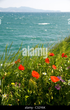 Blick vom L´Escala. Alt Emporda Costa Brava Girona Provinz, Katalonien, Spanien Stockfoto