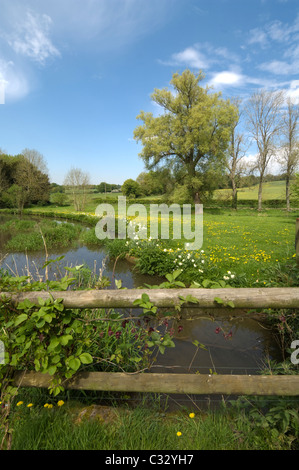 Wasser Wiesen Meon Valley Hampshire UK Stockfoto