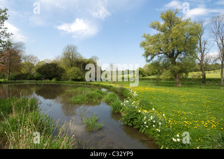 Wasser Wiesen Meon Valley Hampshire UK Stockfoto