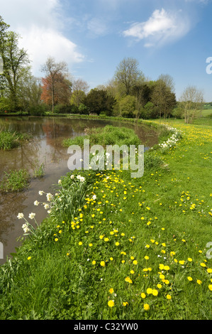 Wasser Wiesen Meon Valley Hampshire UK Stockfoto