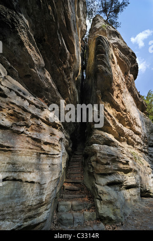 Treppe, die durch schmale Schlucht in Felsformation Perekop in Berdorf, kleine Schweiz / Müllerthal, Luxemburg Stockfoto