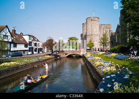 Bootfahren auf dem Fluss Stour, Westgate Gärten, Canterbury, Kent, UK Stockfoto