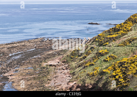 Cove Fischerdorf in Berwickshire - konserviert, stillgelegten Fischerhafen und Gemeinde an der Küste. Stockfoto