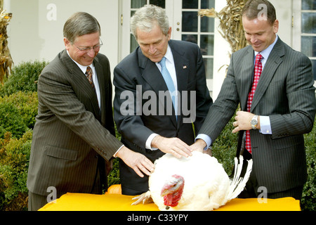 Präsident George W. Bush und der Türkei Landwirt Nathan Hill Präsident George W. Bush Pardons Kürbis, der nationalen Thanksgiving Stockfoto
