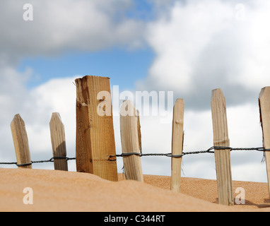 Details der Sanddünen am Balmedie und Menie, eine Fläche von Immobilien-Spekulant Donald Trump als Golfplatz entwickelt Stockfoto