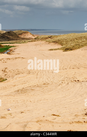 Details der Sanddünen am Balmedie und Menie, eine Fläche von Immobilien-Spekulant Donald Trump als Golfplatz entwickelt Stockfoto