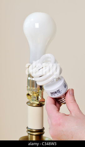 Austausch der Glühbirnen in einer Lampe aus einer Glühbirne zu mehr energiesparenden CFL-Lampe. Stockfoto