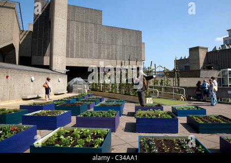 60. Jahrestag des Festival of Britain 1951 auf South Bank, London: Garten am Dach der Queen Elizabeth Hall Stockfoto