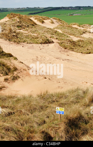 Details der Sanddünen am Balmedie und Menie, eine Fläche von Immobilien-Spekulant Donald Trump als Golfplatz entwickelt Stockfoto