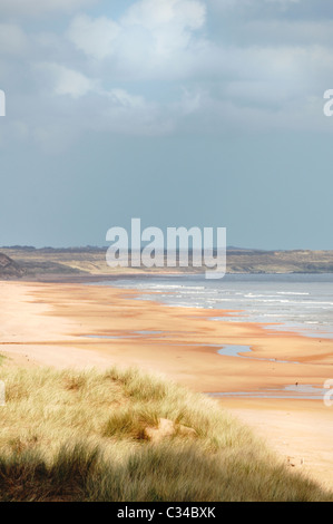 Details der Sanddünen am Balmedie und Menie, eine Fläche von Immobilien-Spekulant Donald Trump als Golfplatz entwickelt Stockfoto