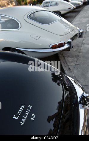 Rückansicht der Rücken der vier Jaguar E-Type Oldtimer britischer Sportwagen Stockfoto