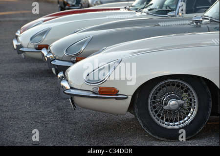 Detail-Aufnahme von vier Jaguar E-Type Oldtimer britischer Sportwagen Stockfoto