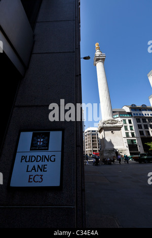 Das Denkmal für den großen Brand von London Stockfoto
