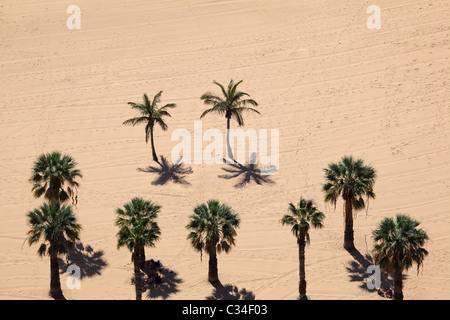 Blick über Palmen am Strand. Playa de Las Teresitas, Kanarische Insel Teneriffa, Spanien. Stockfoto