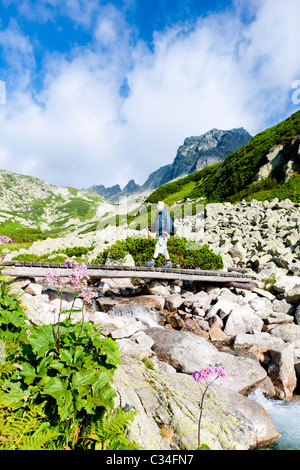 Backpacker in großen kalten Tal, Vysoke Tatry (hohe Tatra), Slowakei Stockfoto