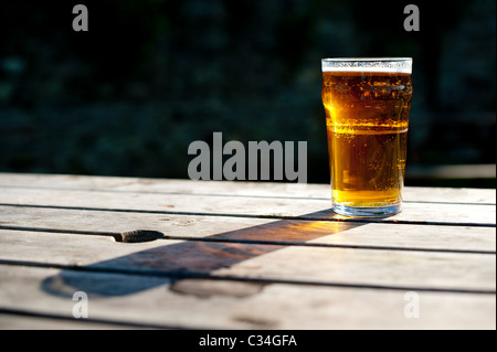 Pint Bier Ale auf Picknick Tisch Sommer, Biergarten Stockfoto